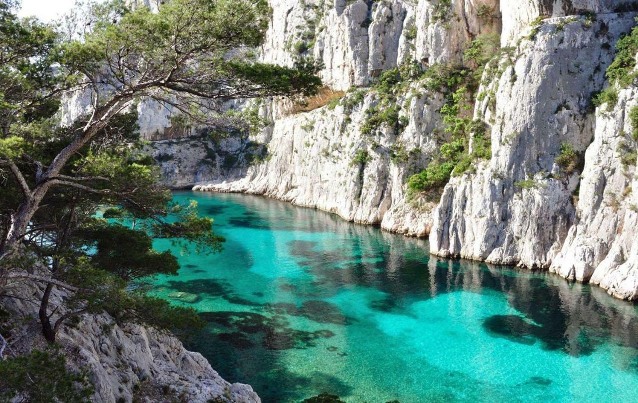 Le Patio Des Mimosas Par Dodo-A-Cassis Panzió Kültér fotó